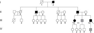 Two Novel Intronic Mutations in the CSF1R Gene in Two Families With CSF1R-Microglial Encephalopathy